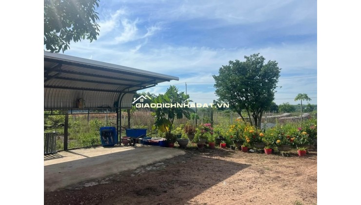 Kinh doanh thua lỗ bán nhanh nhà 2290m2 đất sổ riêng gần ngay khu công nghiệp đang hoạt động. Giá 380tr